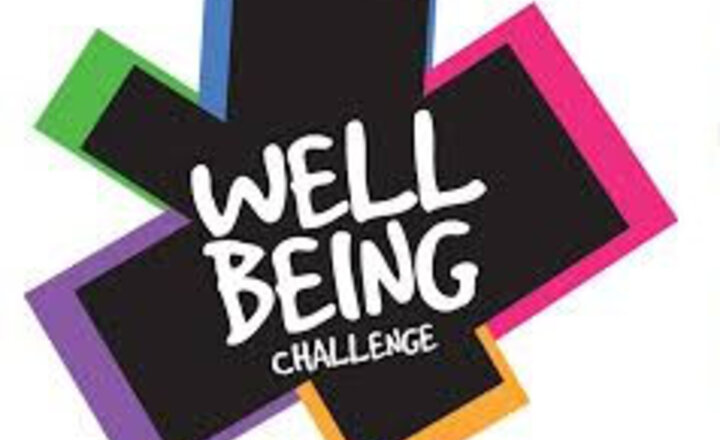 Image of Wellbeing pupil Ambassadors announced